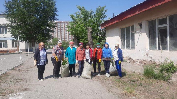 #сенбілік  #тазақала  #тазааула