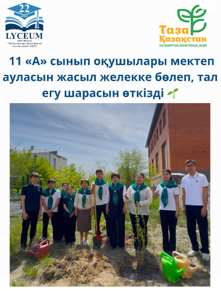 Бүгін 11 «А» сынып оқушылары мектеп ауласын жасыл желекке бөлеп, тал егу шарасын өткізді